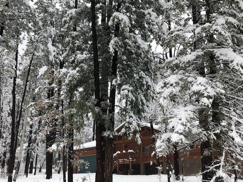 3 Cr 2190, Alpine, AZ 85920 photo 6