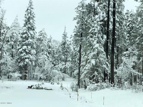3 Cr 2190, Alpine, AZ 85920 photo 70