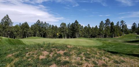 21 S Falling Leaf Rd, Show Low, AZ 85901 photo 6