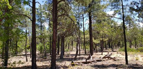 21 S Falling Leaf Rd, Show Low, AZ 85901 photo 3