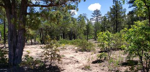 21 S Falling Leaf Rd, Show Low, AZ 85901 photo 1