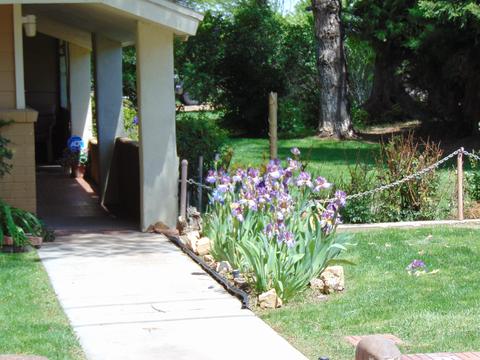202 E Snowflake Blvd, Snowflake, AZ 85937 photo 62