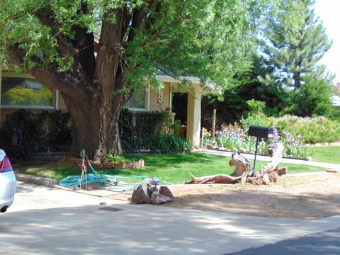 202 E Snowflake Blvd, Snowflake, AZ 85937 photo 65