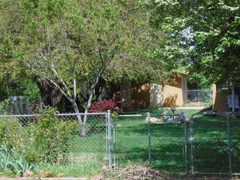 202 E Snowflake Blvd, Snowflake, AZ 85937 photo 58