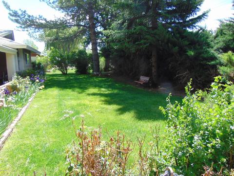 202 E Snowflake Blvd, Snowflake, AZ 85937 photo 67