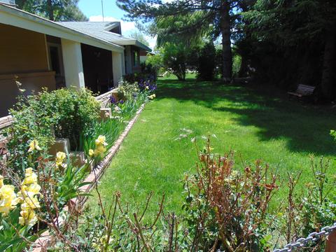 202 E Snowflake Blvd, Snowflake, AZ 85937 photo 60