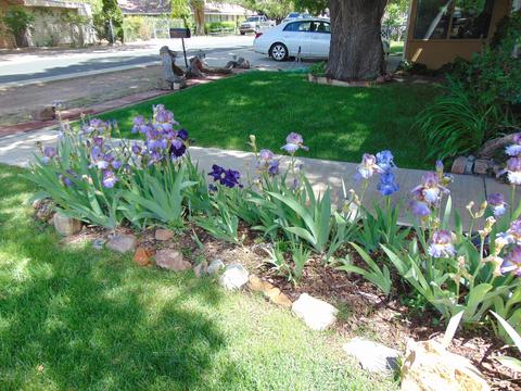 202 E Snowflake Blvd, Snowflake, AZ 85937 photo 64