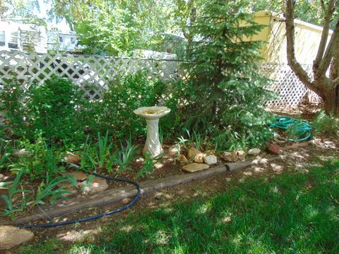 202 E Snowflake Blvd, Snowflake, AZ 85937 photo 53