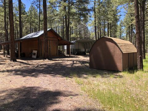 7 Cr 2048, Alpine, AZ 85920 photo 9
