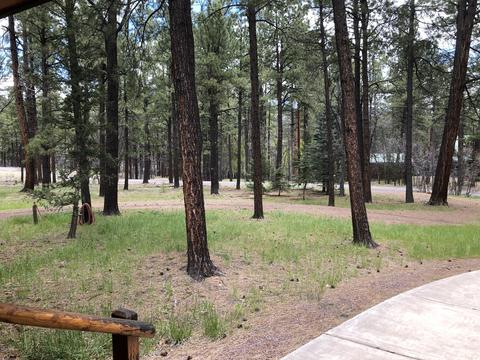 7 Cr 2048, Alpine, AZ 85920 photo 23