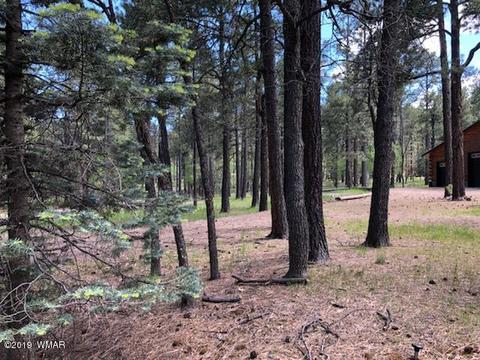 7 Cr 2048, Alpine, AZ 85920 photo 15