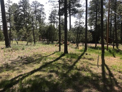 2883 Belle Rd, Overgaard, AZ 85933 photo 12