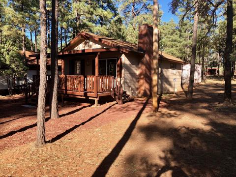 2883 Belle Rd, Overgaard, AZ 85933 photo 2