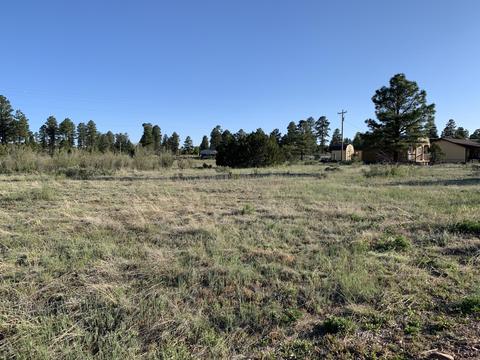 2251 Page Dr, Overgaard, AZ 85933 photo 3