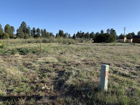 2251 Page Dr, Overgaard, AZ 85933 photo 2
