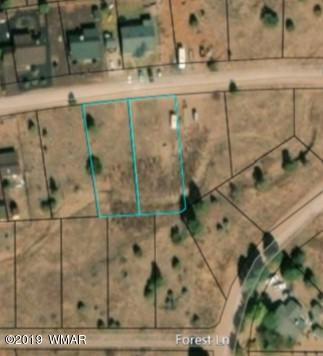2251 Page Dr, Overgaard, AZ 85933 photo 4
