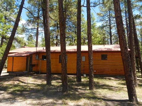446 Willow Run, Lakeside, AZ 85929 photo 4