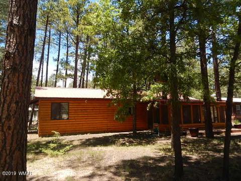 446 Willow Run, Lakeside, AZ 85929 photo 6