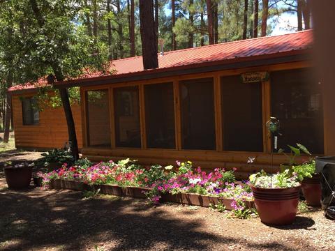 446 Willow Run, Lakeside, AZ 85929 photo 1
