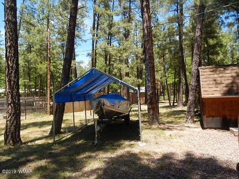 446 Willow Run, Lakeside, AZ 85929 photo 3
