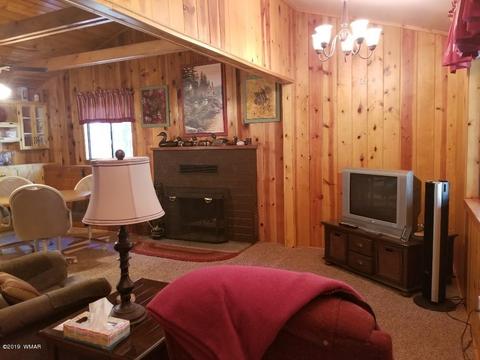 446 Willow Run, Lakeside, AZ 85929 photo 29