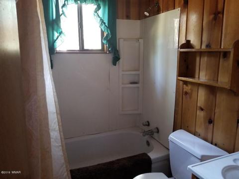 446 Willow Run, Lakeside, AZ 85929 photo 25