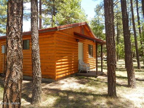 446 Willow Run, Lakeside, AZ 85929 photo 5