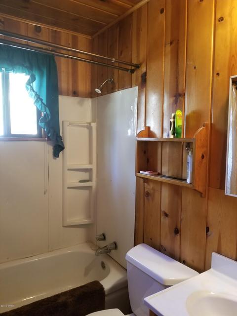 446 Willow Run, Lakeside, AZ 85929 photo 13