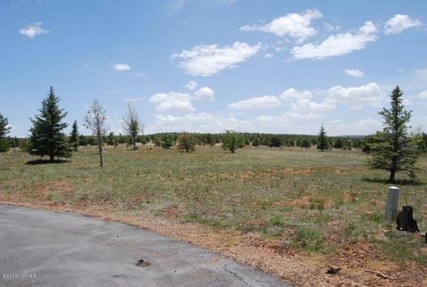 2237 Kodaik Cir, Overgaard, AZ 85933 photo 8