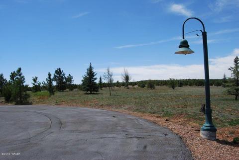 2237 Kodaik Cir, Overgaard, AZ 85933 photo 10