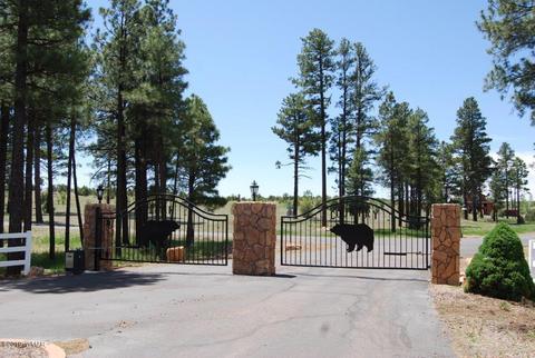 2237 Kodaik Cir, Overgaard, AZ 85933 photo 2