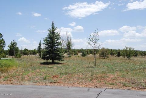 2237 Kodaik Cir, Overgaard, AZ 85933 photo 7