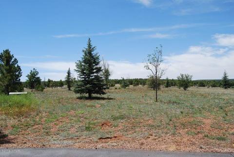 2237 Kodaik Cir, Overgaard, AZ 85933 photo 6