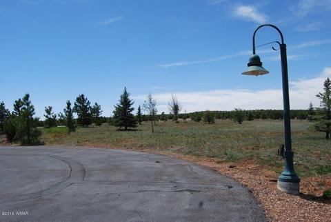 2237 Kodaik Cir, Overgaard, AZ 85933 photo 5