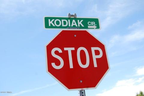 2237 Kodaik Cir, Overgaard, AZ 85933 photo 14