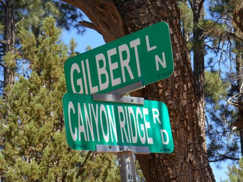 2067 Gilbert Ln, Overgaard, AZ 85933 photo 9