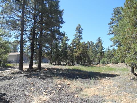2067 Gilbert Ln, Overgaard, AZ 85933 photo 2