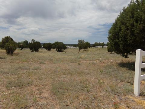7075 White Gate Way, Show Low, AZ 85901 photo 4