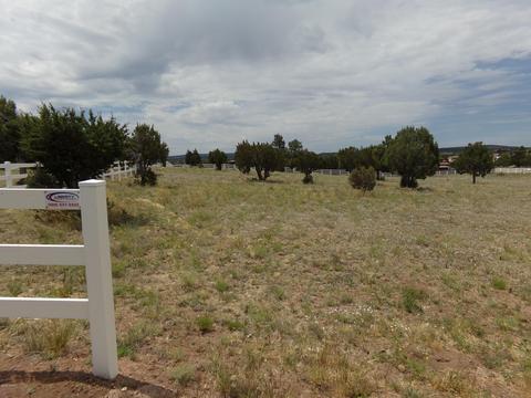 7075 White Gate Way, Show Low, AZ 85901 photo 8