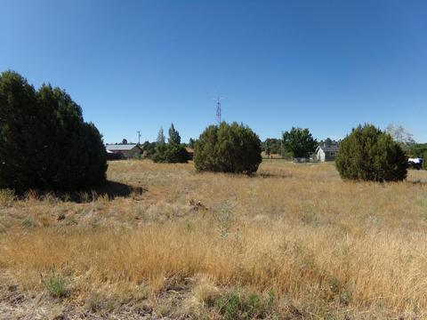 161 E Sylvester, Show Low, AZ 85901 photo 1