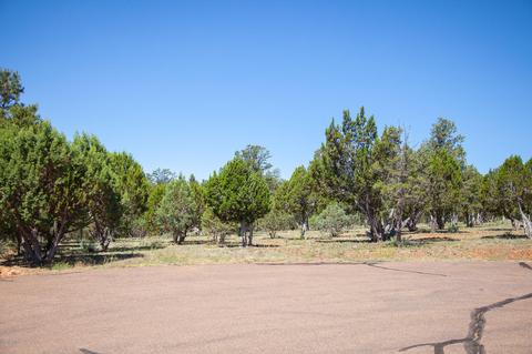 2764 Panther Cir, Overgaard, AZ 85933 photo 3