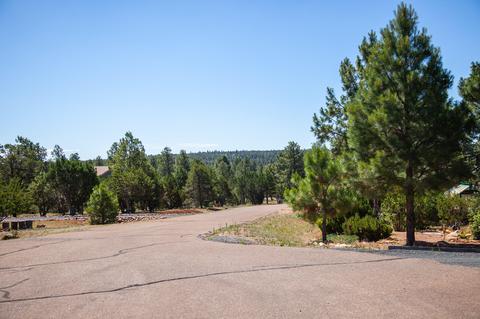 2764 Panther Cir, Overgaard, AZ 85933 photo 4