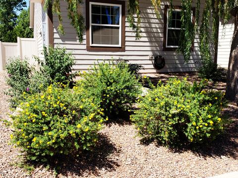 1024 E Jefferson St, Snowflake, AZ 85937 photo 37
