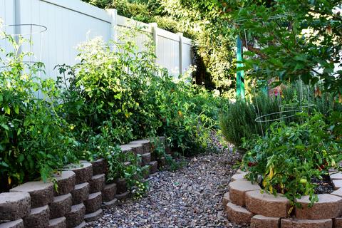1024 E Jefferson St, Snowflake, AZ 85937 photo 32