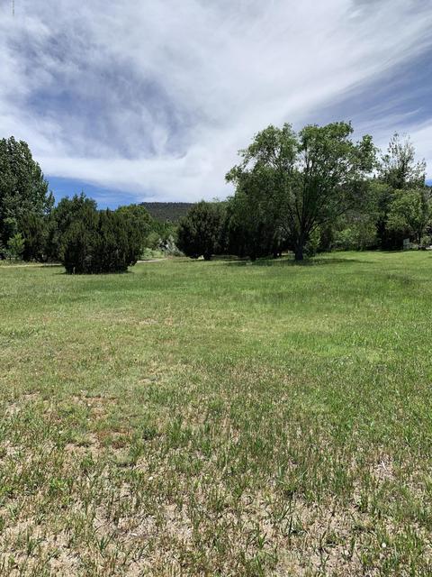 981 E 1st St, Eagar, AZ 85925 photo 8