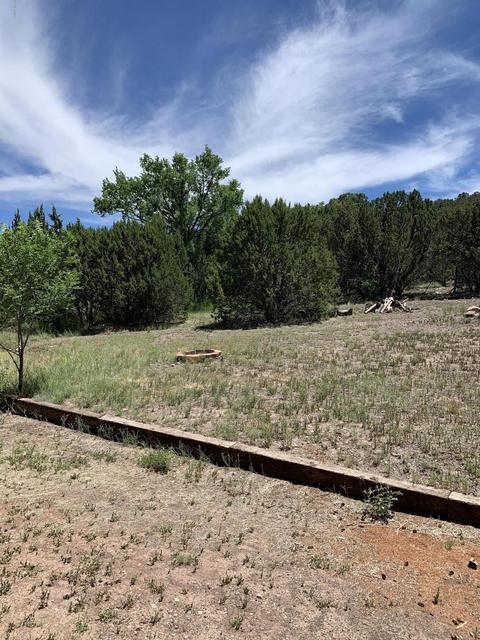 981 E 1st St, Eagar, AZ 85925 photo 15