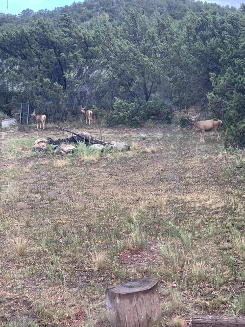 981 E 1st St, Eagar, AZ 85925 photo 10