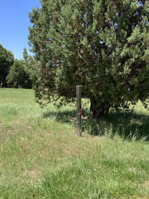 981 E 1st St, Eagar, AZ 85925 photo 5