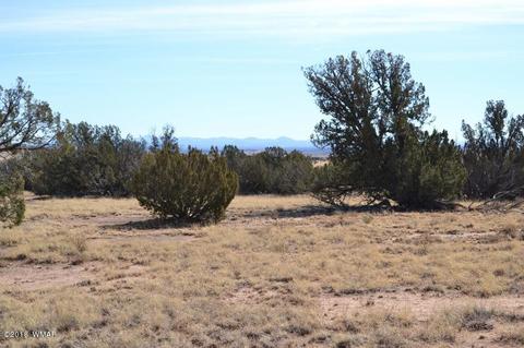 3845 Petersen Rd, Snowflake, AZ 85937 photo 1