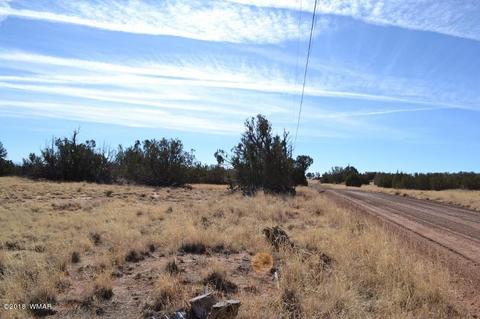 3845 Petersen Rd, Snowflake, AZ 85937 photo 3
